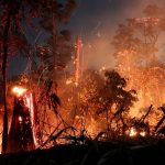 Incendio Amazonia