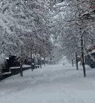 madrid neu 3