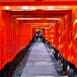 Temple Fushimi-Inari-taisha Kioto