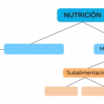 ODS2_Actividad-1-2048×742