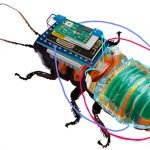 Cuca-robot