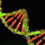 Genoma-humano-768×401