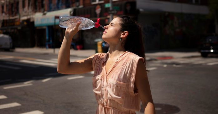 Con las altas temperaturas que se registran en este inicio del verano aumenta el riesgo de sufrir un golpe de calor (Freepik)