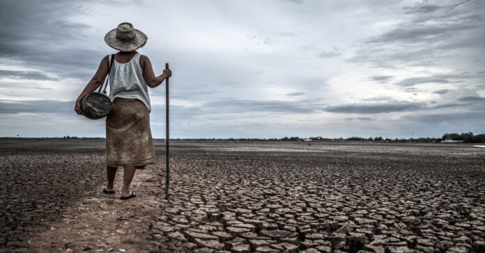 El calentamiento global está subiendo las temperaturas y puede dejar zonas del planeta inhabitables (jcomp/ freepik)